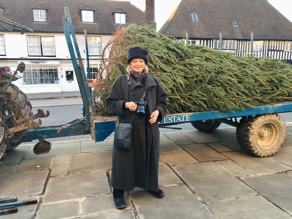 Rotary Christmas Tree 2018